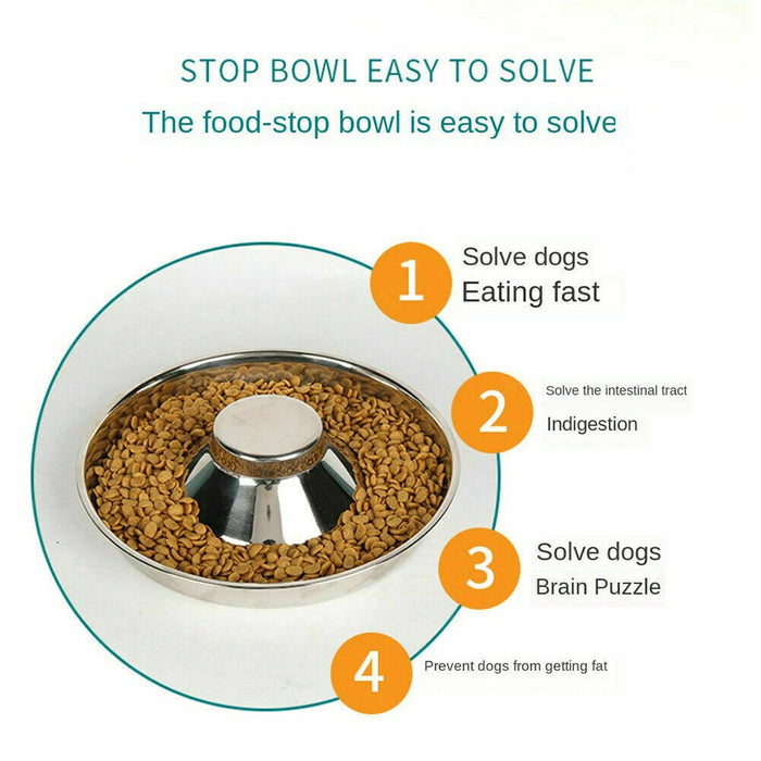 Stainless steel cat food feeder bowl