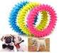 Healthy Teeth and Gums Chew Toy - Durable Rubber - Pet Dental Care