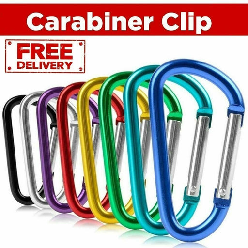 Small carabiner perfect for keychains and other uses