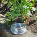 Image showcasing the versatility of the gardening wire in various uses